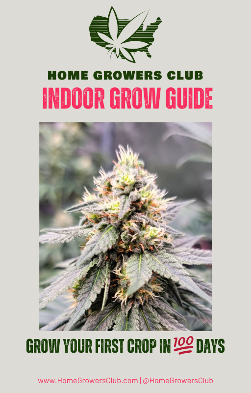 Home Grow Coaching - 100 Day Seed to Harvest